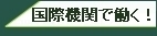 国際機関で働く