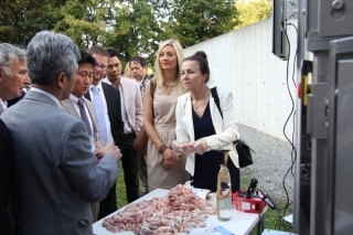 Chicken Festival