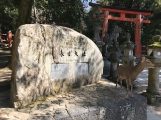Kasuga-Taisha 1